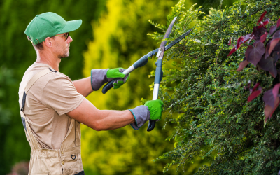 Jardinage entretien des extérieurs