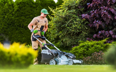 entretien espaces verts et jardin